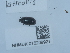  ( - NHMUK015209921)  @11 [ ] Unspecified (default): All Rights Reserved  Unspecified Unspecified