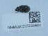  ( - NHMUK015209921)  @11 [ ] Unspecified (default): All Rights Reserved  Unspecified Unspecified