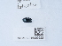  ( - NHMUK015209922)  @11 [ ] Unspecified (default): All Rights Reserved  Unspecified Unspecified
