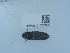  ( - NHMUK015209927)  @11 [ ] Unspecified (default): All Rights Reserved  Unspecified Unspecified