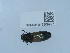  ( - NHMUK015209927)  @11 [ ] Unspecified (default): All Rights Reserved  Unspecified Unspecified