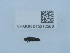  ( - NHMUK015212283)  @11 [ ] Unspecified (default): All Rights Reserved  Unspecified Unspecified