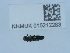  ( - NHMUK015212283)  @11 [ ] Unspecified (default): All Rights Reserved  Unspecified Unspecified