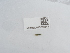  ( - NHMUK015212343)  @11 [ ] Unspecified (default): All Rights Reserved  Unspecified Unspecified
