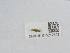  ( - NHMUK015212343)  @11 [ ] Unspecified (default): All Rights Reserved  Unspecified Unspecified