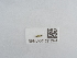  (Zyginella - NHMUK015212344)  @11 [ ] Unspecified (default): All Rights Reserved  Unspecified Unspecified