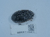  ( - NHMUK015212879)  @11 [ ] Unspecified (default): All Rights Reserved  Unspecified Unspecified