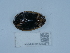  ( - NHMUK015212879)  @11 [ ] Unspecified (default): All Rights Reserved  Unspecified Unspecified
