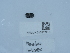  ( - NHMUK015212913)  @11 [ ] Unspecified (default): All Rights Reserved  Unspecified Unspecified