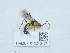  ( - NHMUK015213471)  @11 [ ] Unspecified (default): All Rights Reserved  Unspecified Unspecified