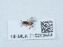 ( - NHMUK015213484)  @11 [ ] Unspecified (default): All Rights Reserved  Unspecified Unspecified
