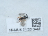  ( - NHMUK015213488)  @11 [ ] Unspecified (default): All Rights Reserved  Unspecified Unspecified
