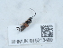  ( - NHMUK015213489)  @11 [ ] Unspecified (default): All Rights Reserved  Unspecified Unspecified