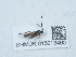  ( - NHMUK015213490)  @11 [ ] Unspecified (default): All Rights Reserved  Unspecified Unspecified