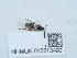  ( - NHMUK015213490)  @11 [ ] Unspecified (default): All Rights Reserved  Unspecified Unspecified