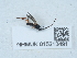  ( - NHMUK015213491)  @11 [ ] Unspecified (default): All Rights Reserved  Unspecified Unspecified