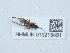  ( - NHMUK015213491)  @11 [ ] Unspecified (default): All Rights Reserved  Unspecified Unspecified