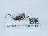  ( - NHMUK015213492)  @11 [ ] Unspecified (default): All Rights Reserved  Unspecified Unspecified