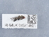  ( - NHMUK015214921)  @11 [ ] Unspecified (default): All Rights Reserved  Unspecified Unspecified