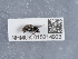  ( - NHMUK015214923)  @11 [ ] Unspecified (default): All Rights Reserved  Unspecified Unspecified