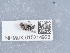  ( - NHMUK015214923)  @11 [ ] Unspecified (default): All Rights Reserved  Unspecified Unspecified
