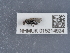  ( - NHMUK015214924)  @11 [ ] Unspecified (default): All Rights Reserved  Unspecified Unspecified