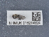  ( - NHMUK015214924)  @11 [ ] Unspecified (default): All Rights Reserved  Unspecified Unspecified