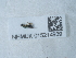  ( - NHMUK015214939)  @11 [ ] Unspecified (default): All Rights Reserved  Unspecified Unspecified