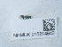  ( - NHMUK015214940)  @11 [ ] Unspecified (default): All Rights Reserved  Unspecified Unspecified