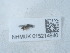  ( - NHMUK015214940)  @11 [ ] Unspecified (default): All Rights Reserved  Unspecified Unspecified