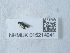 ( - NHMUK015214941)  @11 [ ] Unspecified (default): All Rights Reserved  Unspecified Unspecified