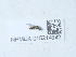  ( - NHMUK015214942)  @11 [ ] Unspecified (default): All Rights Reserved  Unspecified Unspecified