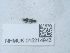  ( - NHMUK015214943)  @11 [ ] Unspecified (default): All Rights Reserved  Unspecified Unspecified