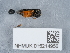  ( - NHMUK015214956)  @11 [ ] Unspecified (default): All Rights Reserved  Unspecified Unspecified