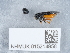  ( - NHMUK015214956)  @11 [ ] Unspecified (default): All Rights Reserved  Unspecified Unspecified