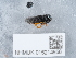  ( - NHMUK015214956)  @11 [ ] Unspecified (default): All Rights Reserved  Unspecified Unspecified