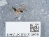  ( - NHMUK015214958)  @11 [ ] Unspecified (default): All Rights Reserved  Unspecified Unspecified