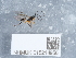  ( - NHMUK015214958)  @11 [ ] Unspecified (default): All Rights Reserved  Unspecified Unspecified