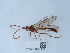  ( - NHMUK015214985)  @11 [ ] Unspecified (default): All Rights Reserved  Unspecified Unspecified