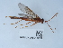  ( - NHMUK015214986)  @11 [ ] Unspecified (default): All Rights Reserved  Unspecified Unspecified