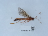 ( - NHMUK015214986)  @11 [ ] Unspecified (default): All Rights Reserved  Unspecified Unspecified