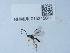 ( - NHMUK015215011)  @11 [ ] Unspecified (default): All Rights Reserved  Unspecified Unspecified