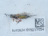  ( - NHMUK015215054)  @11 [ ] Unspecified (default): All Rights Reserved  Unspecified Unspecified