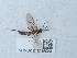  ( - NHMUK015215084)  @11 [ ] Unspecified (default): All Rights Reserved  Unspecified Unspecified