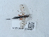  ( - NHMUK015215084)  @11 [ ] Unspecified (default): All Rights Reserved  Unspecified Unspecified