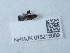  ( - NHMUK015215089)  @11 [ ] Unspecified (default): All Rights Reserved  Unspecified Unspecified