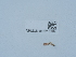  ( - NHMUK015215104)  @11 [ ] Unspecified (default): All Rights Reserved  Unspecified Unspecified
