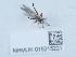  ( - NHMUK015215221)  @11 [ ] Unspecified (default): All Rights Reserved  Unspecified Unspecified