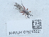  ( - NHMUK015215221)  @11 [ ] Unspecified (default): All Rights Reserved  Unspecified Unspecified