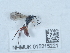  ( - NHMUK015215221)  @11 [ ] Unspecified (default): All Rights Reserved  Unspecified Unspecified